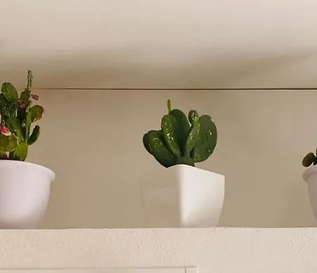 Mary Sicily Deluxe Ragusa